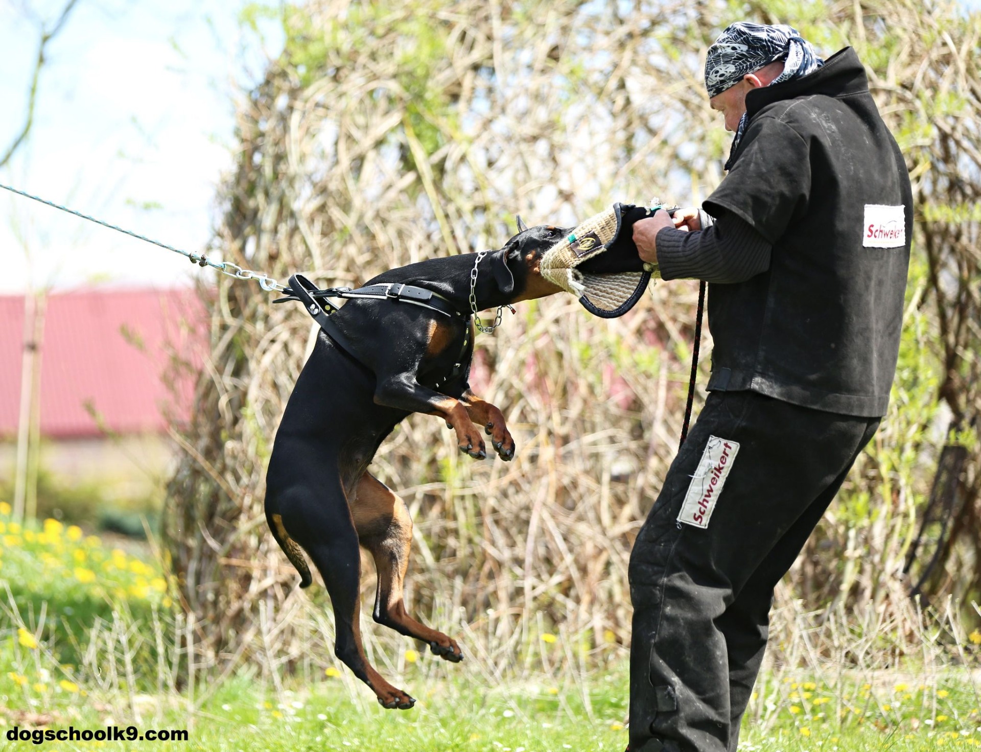 Luděk Šilhavý K9 a Jasmin HP